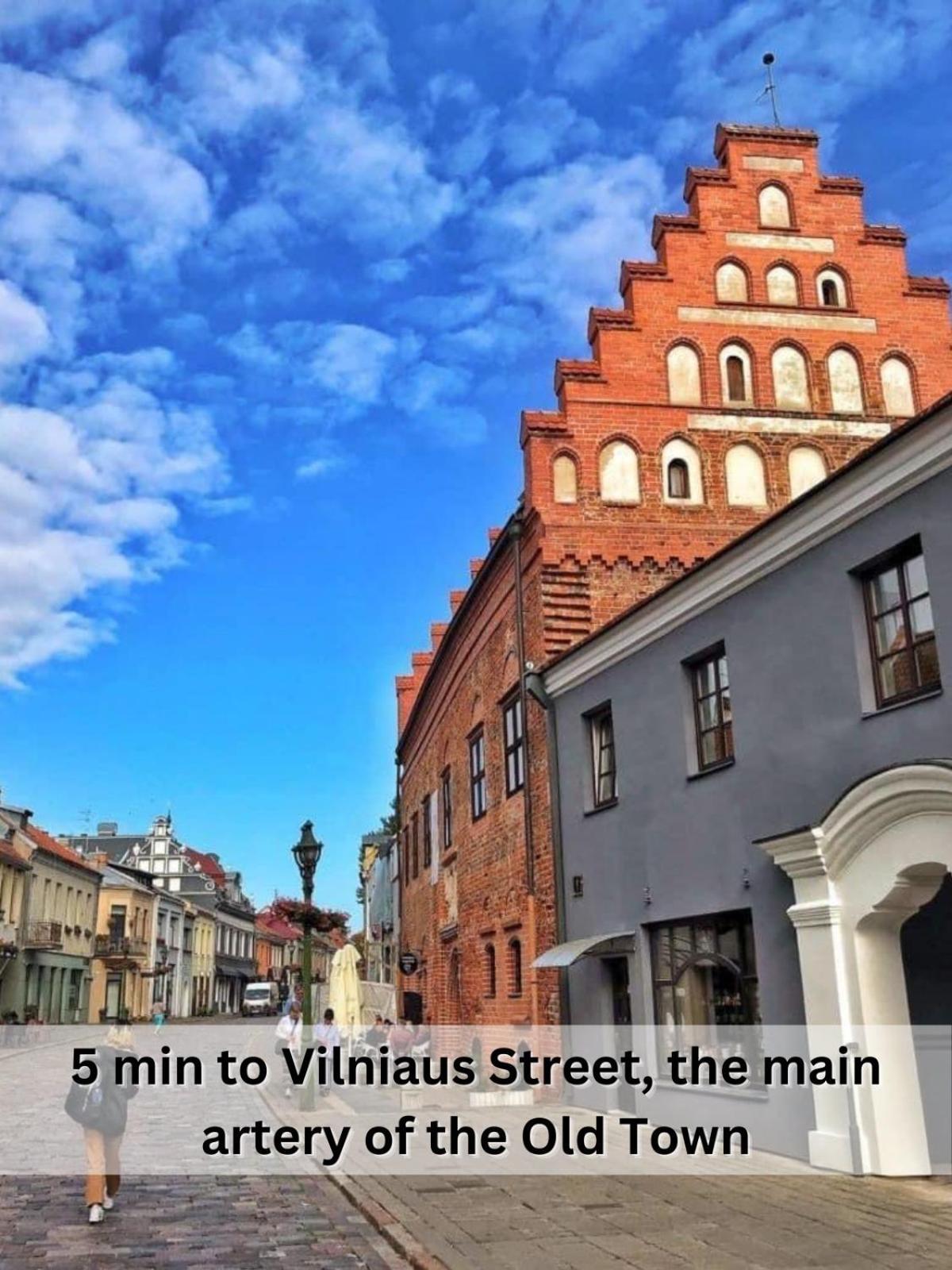 Spacious Old Town Apt, 3 Private Rooms, Sleeps 5-6 Kaunas Buitenkant foto